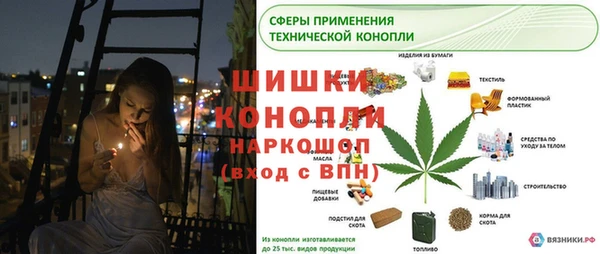 винт Бронницы