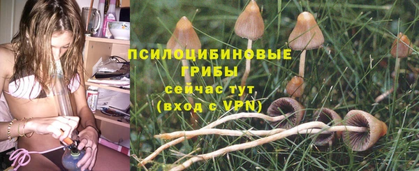 меф Бородино
