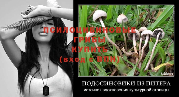 винт Бронницы