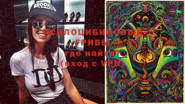 apvp Бугульма