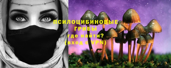 меф Бородино